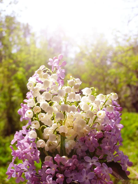 山谷的百合花和淡紫色花束 — 图库照片