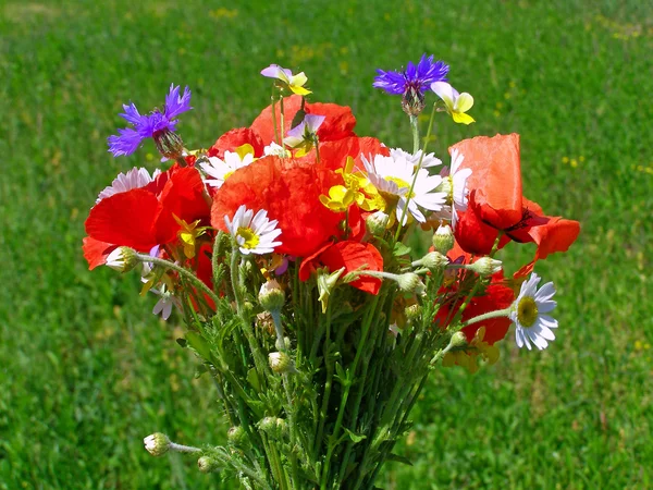 Buquê colorido brilhante de jardim e flores naturais selvagens — Fotografia de Stock