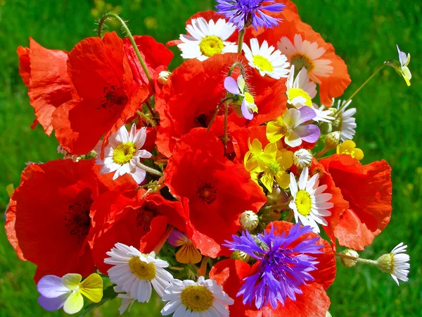 Bouquet coloré lumineux de fleurs naturelles sauvages et de jardin — Photo