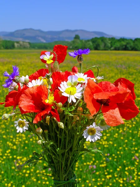 Яркий красочный букет садов и диких природных цветов — стоковое фото