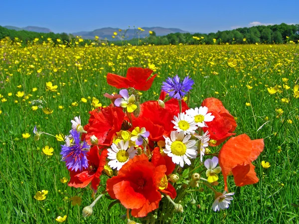 Helder kleurrijk boeket van tuin en wilde natuurlijke bloemen — Stockfoto