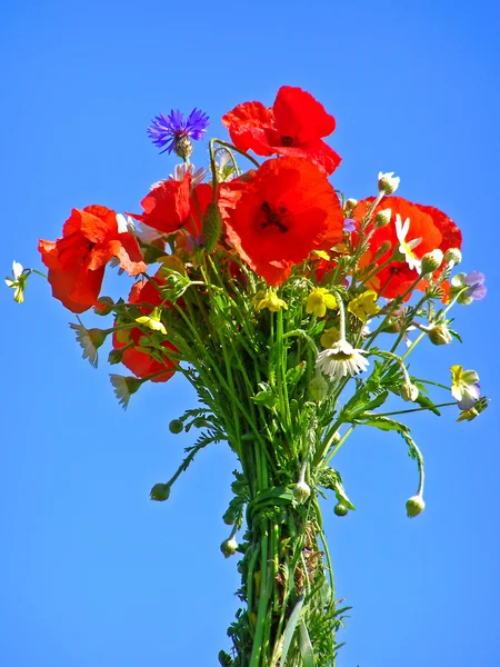 Luminoso bouquet colorato di giardino e fiori naturali selvatici — Foto Stock