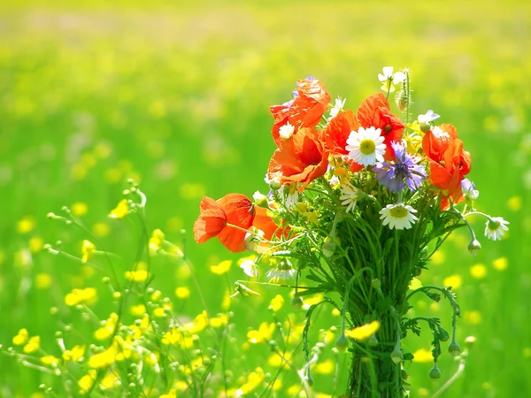 Bright colorful bouquet of garden and wild natural flowers — Stock Photo, Image