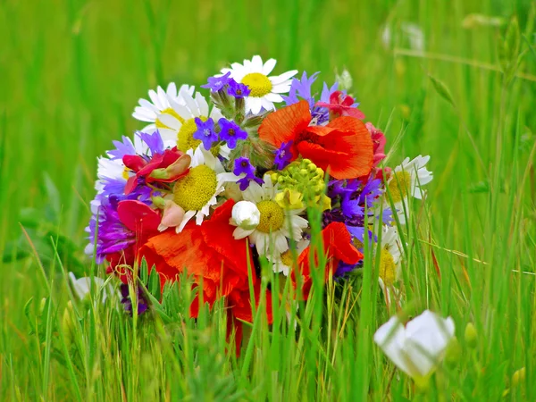 Parlak renkli bahçe buketi ve vahşi doğal çiçekler. — Stok fotoğraf