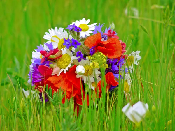 Helder kleurrijk boeket van tuin en wilde natuurlijke bloemen — Stockfoto