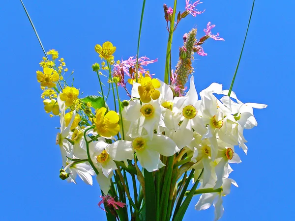Helder kleurrijk boeket van tuin en wilde natuurlijke bloemen — Stockfoto