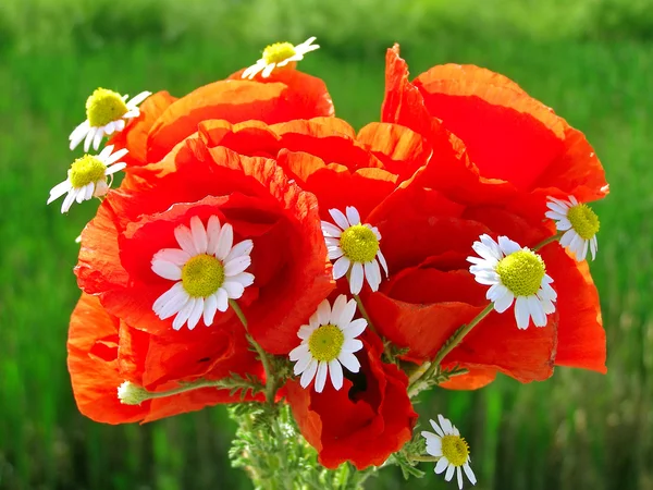 Luminoso bouquet colorato di giardino e fiori naturali selvatici — Foto Stock