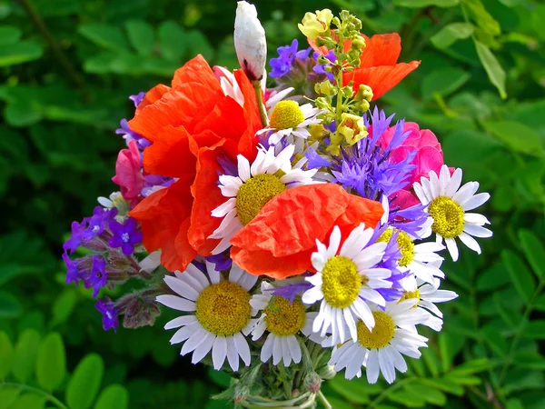 Buquê colorido brilhante de jardim e flores naturais selvagens — Fotografia de Stock