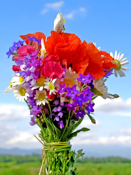 Bright colorful bouquet of garden and wild natural flowers — Stock Photo, Image