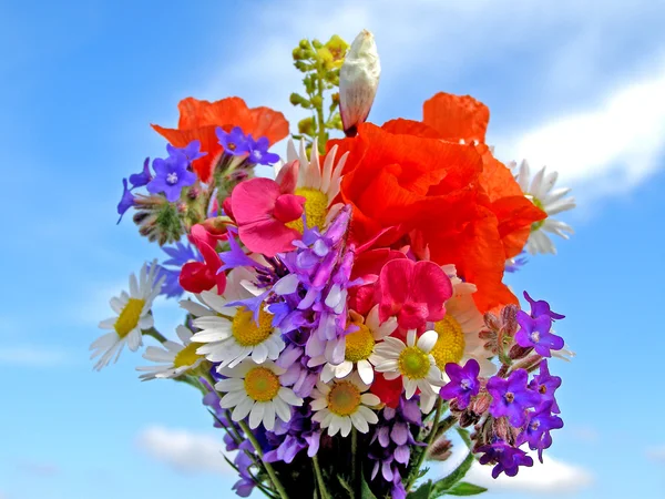 Helle bunte Bouquet von Garten und wilden natürlichen Blumen — Stockfoto