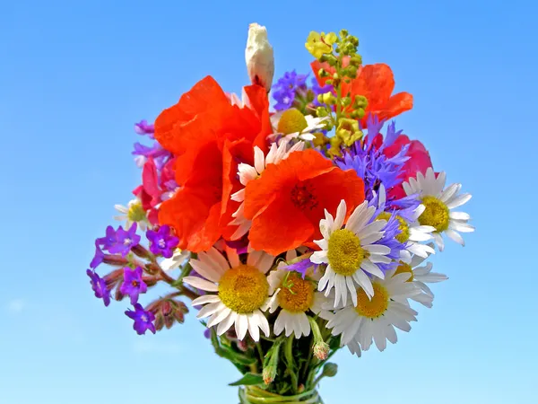 Buquê colorido brilhante de jardim e flores naturais selvagens — Fotografia de Stock