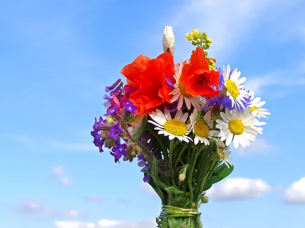 Bright colorful bouquet of garden and wild natural flowers — Stock Photo, Image