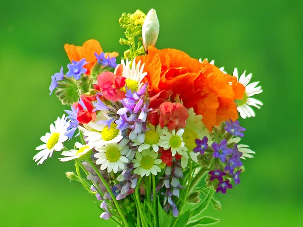 Helder kleurrijk boeket van tuin en wilde natuurlijke bloemen — Stockfoto