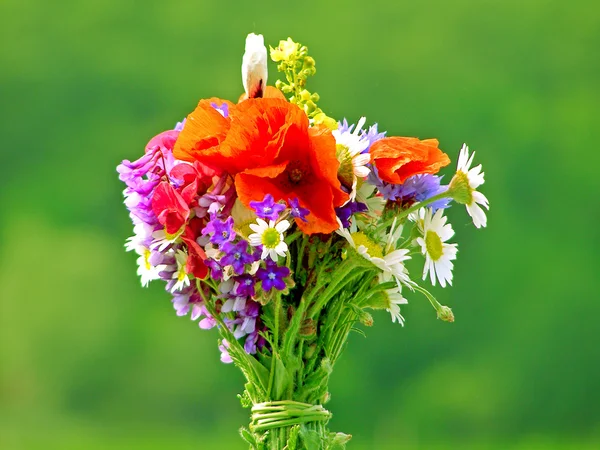 Helder kleurrijk boeket van tuin en wilde natuurlijke bloemen — Stockfoto