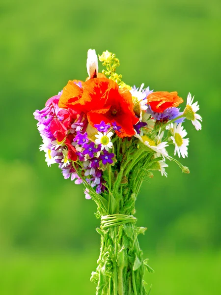 Яскравий барвистий букет з саду і диких природних квітів — стокове фото