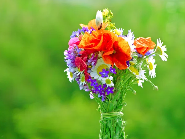 Helle bunte Bouquet von Garten und wilden natürlichen Blumen — Stockfoto