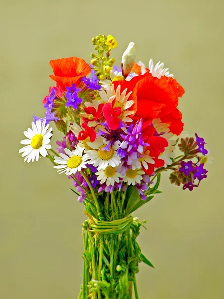 Ljus färgstark bukett av trädgård och vilda naturliga blommor — Stockfoto