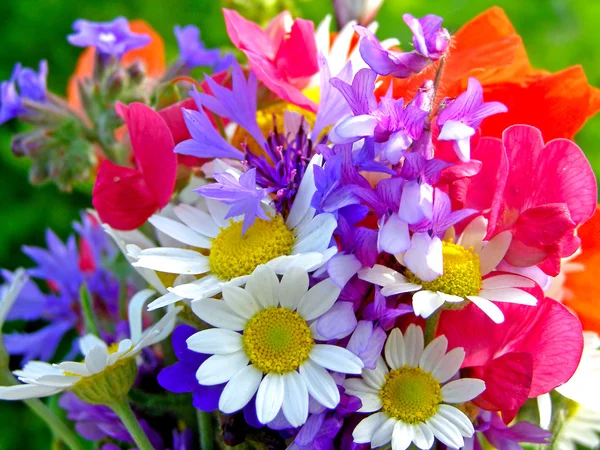 Helder kleurrijk boeket van tuin en wilde natuurlijke bloemen — Stockfoto