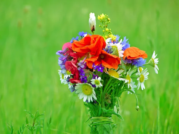 Bright colorful bouquet of garden and wild natural flowers — Stock Photo, Image
