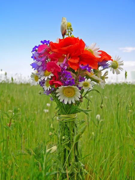 Helle bunte Bouquet von Garten und wilden natürlichen Blumen — Stockfoto