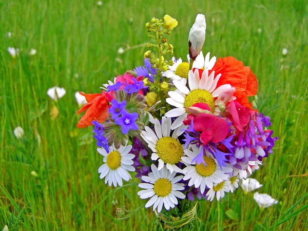 Bright colorful bouquet of garden and wild natural flowers — Stock Photo, Image