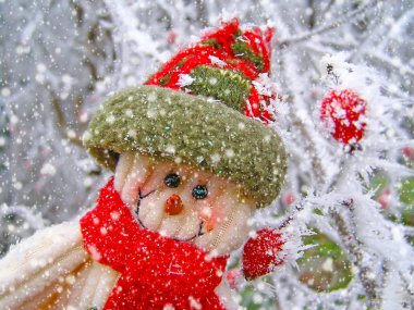 kar kardan adam gülümsüyor