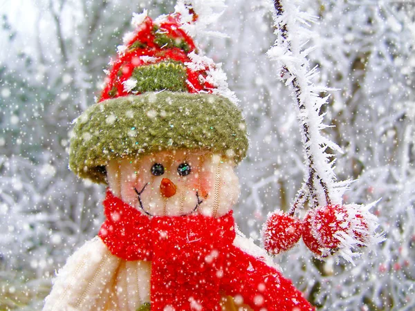 Muñeco de nieve sonriendo en la nieve —  Fotos de Stock