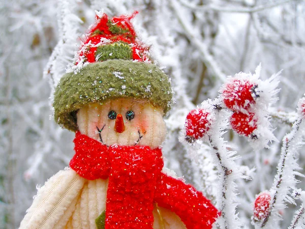 Boneco de neve sorridente na neve — Fotografia de Stock