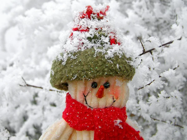 Muñeco de nieve sonriendo en la nieve —  Fotos de Stock
