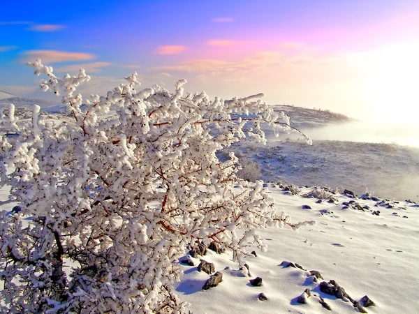 Paisaje invierno — Foto de Stock