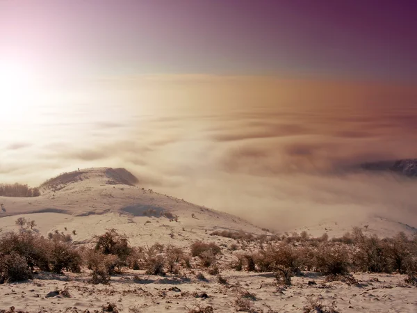 Winterlandschaft — Stockfoto