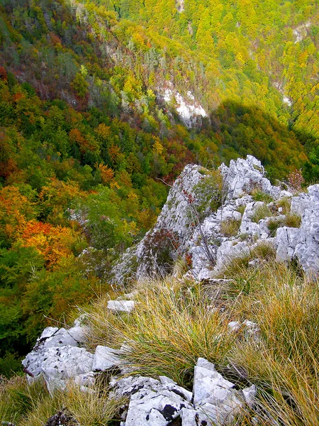 Herbstbild im Berg — Stockfoto
