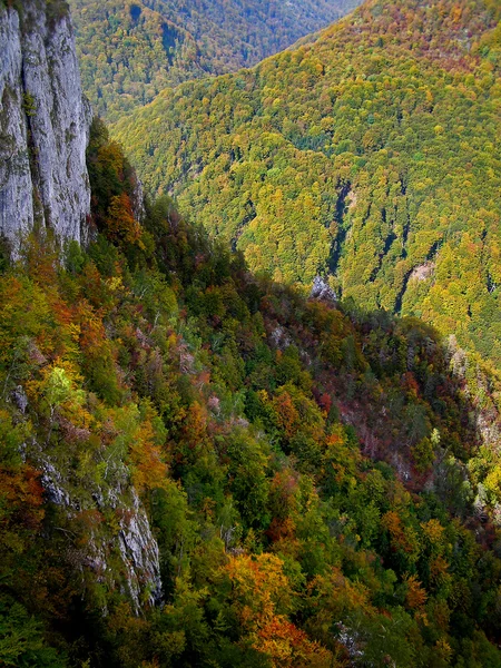 Autumn image in the mountain — Stock Photo, Image