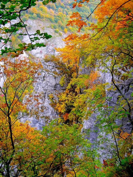 山の秋のイメージ — ストック写真