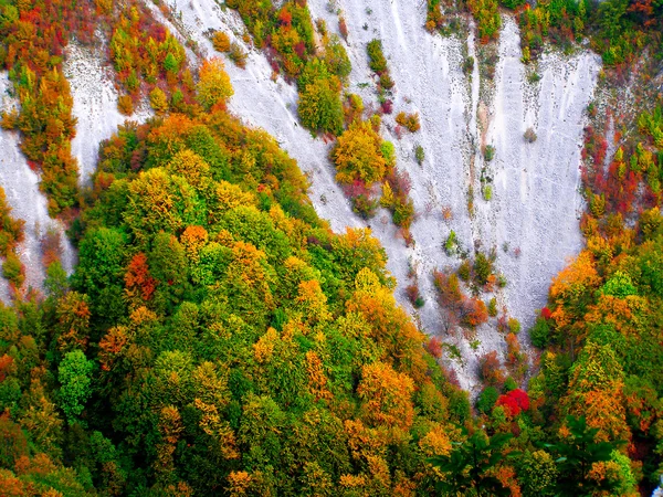 Autumn image in the mountain — Stock Photo, Image