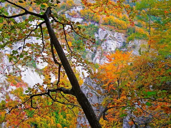 山の秋のイメージ — ストック写真