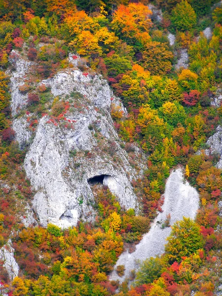 Imagen de otoño en la montaña —  Fotos de Stock