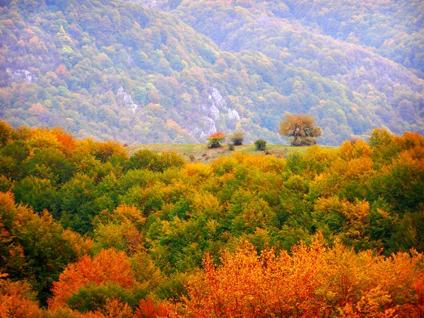 Paisagem de outono — Fotografia de Stock