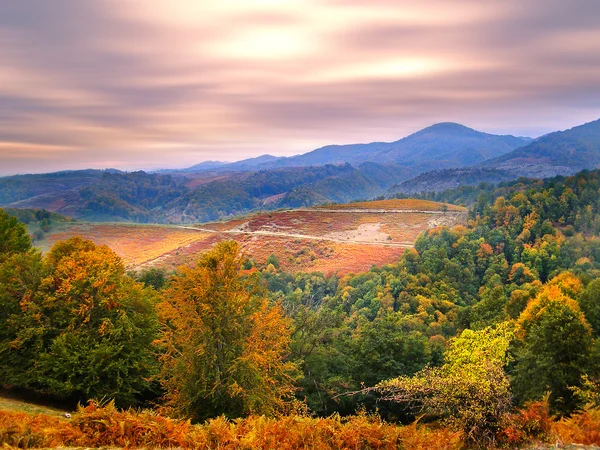 秋天的风景 — 图库照片