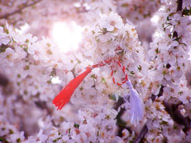 MARTISOR) Odası (- baharın başlangıcı Romen sembolü.
