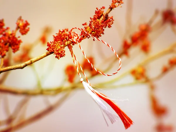 Martisor - rumunský symbolem začátku jara. — Stock fotografie