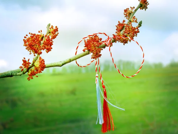 Мартизор - румынский символ начала весны . — стоковое фото