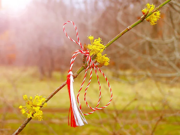 Martisor - symbole roumain du début du printemps . — Photo