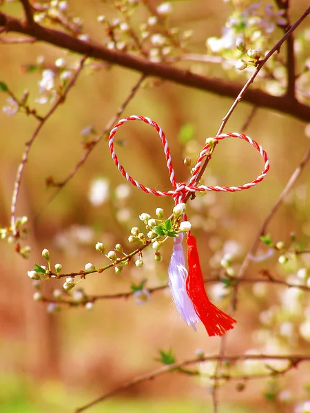 Martisor - rumänisches Symbol für den Frühlingsanfang. — Stockfoto