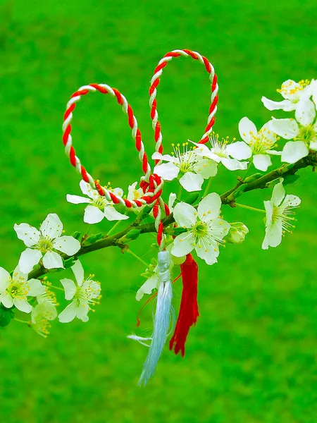 Martisor - símbolo romeno do início da primavera . — Fotografia de Stock