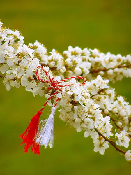 Martisor - símbolo rumano del comienzo de la primavera . — Foto de Stock