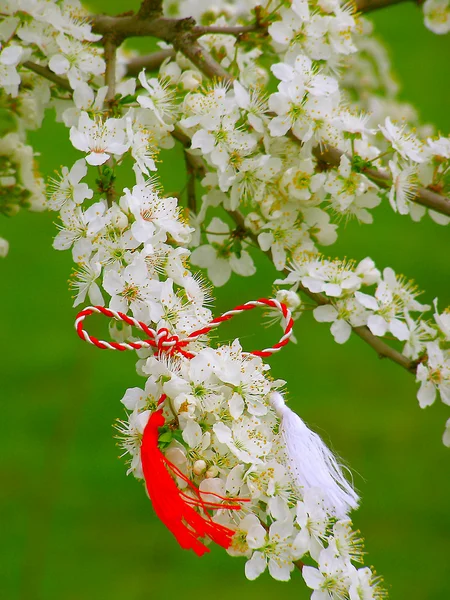 Martisor - rumänisches Symbol für den Frühlingsanfang. — Stockfoto