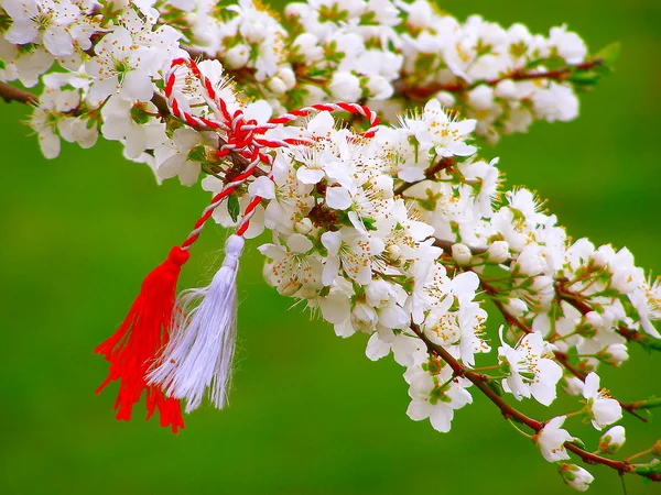 Martisor - symbole roumain du début du printemps . — Photo