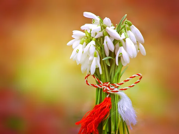 Schneeglöckchen Strauß gebunden mit einem Schmuckstück — Stockfoto