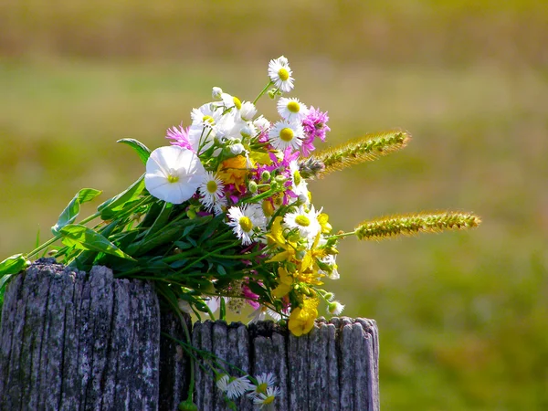 Bright colorful bouquet of garden and wild natural flowers — Stock Photo, Image